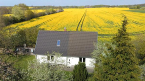 Kleines Haus am Feld